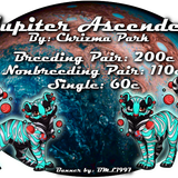 jupiter ascended