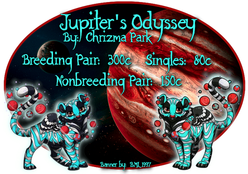 jupiters odyssey.png