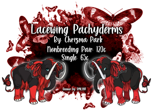 lacewing pachyderms.png