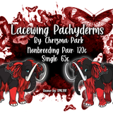lacewing pachyderms