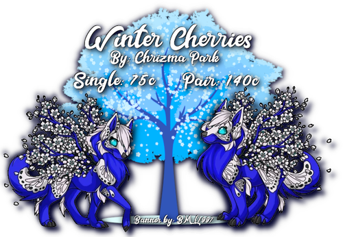winter cherries.png