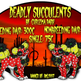 deadly succulents