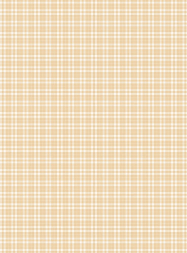 IMG 20251014 193635.jpg