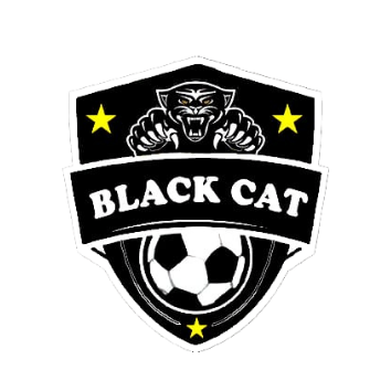 black cat.png