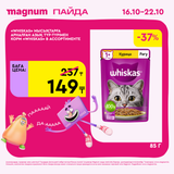 Magnum 1620x1620 1 tov 2025 10 15T094350.017