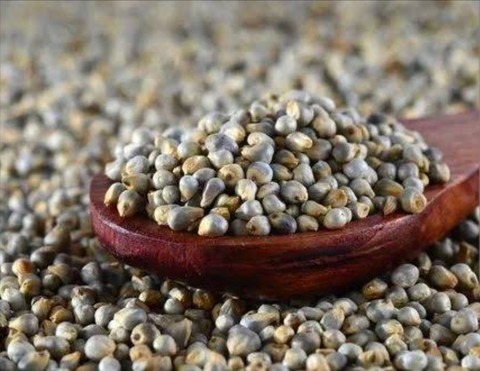 1 b 4 mahak stors original imahf.jpg