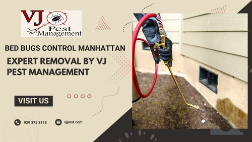 Bed Bugs Control Manhattan  Expert Removal by VJ Pest Management.jpg
