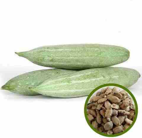 10 snake gourd seeds with free g.jpg