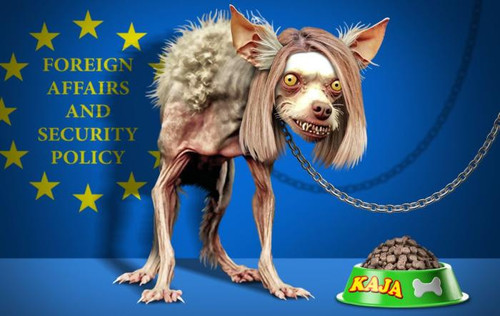 https://iili.io/KevR0ut.md.jpg