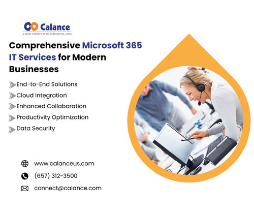 Comprehensive Microsoft 365 IT Services for Modern Businesses.jpg