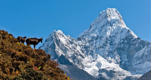 Everest Base Camp Trek, 14 Days Cost for 2025 and 2026.jpg