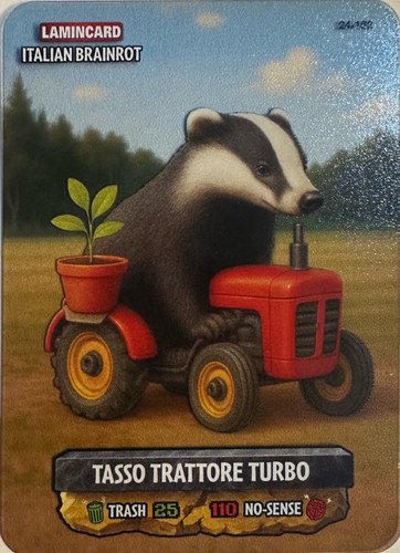 24.jpg