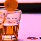 oie xIYQeegTnZp3.gif