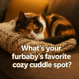 A collage of four autumn themed, high quality phot 0 1