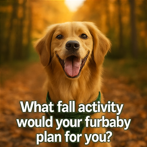 A collage of four autumn themed photographs featur part 4.png