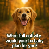 A collage of four autumn themed photographs featur part 4