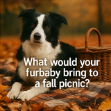 A collage of six autumn themed digital photographs corrected 1 1