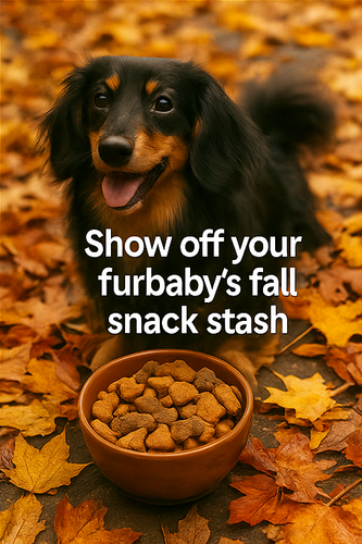 A four panel collage of photographs with overlaid 1 1.png