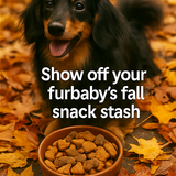 A four panel collage of photographs with overlaid 1 1