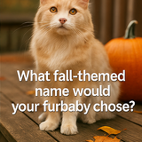 A four panel collage of photographs with overlaid corrected 0 1