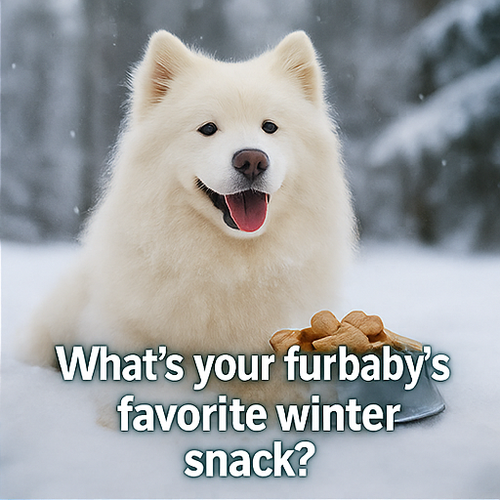 A four panel digital photographic collage designed 0 1.png