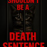 ChatGPT Image Aug 22, 2025, 03 43 25 PM