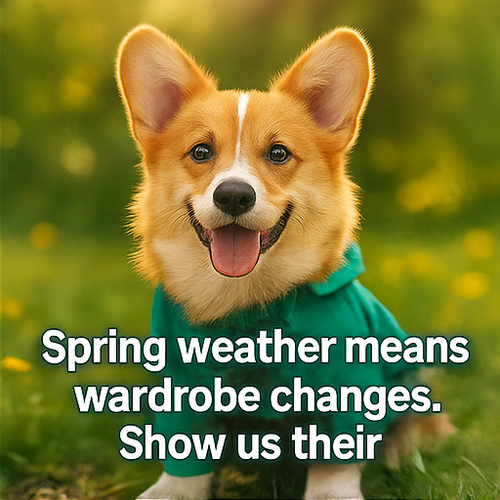 spring img 54.png
