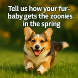 A collage of eight square photographs is arranged part 3