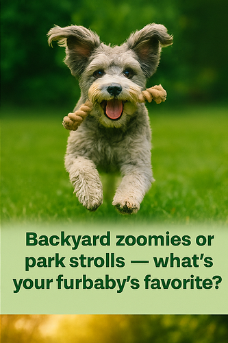 A collage of four digital photographs invites pet part2.png