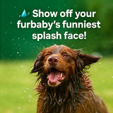 A collage of four vibrant photographs with interac part4