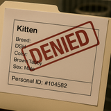 Rejected Kitten Adoption Request