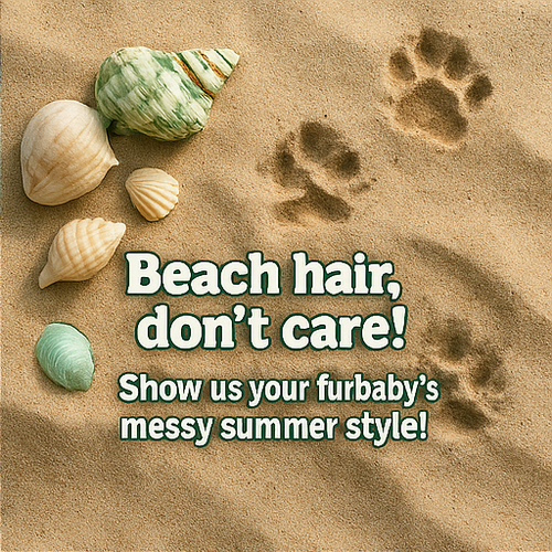 A collage of digital photographs arranged into fou part2.png