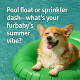 A collage of four digital photographs features con part1