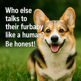 A photograph with text overlay prominently feature