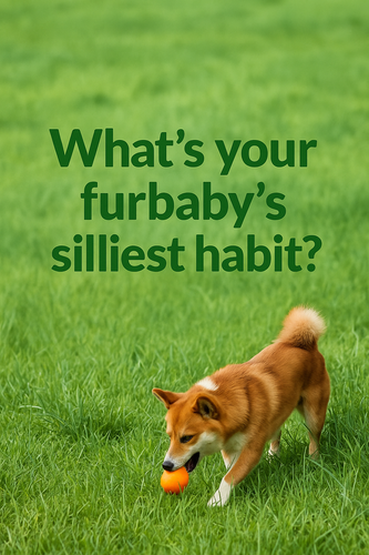 A prompt in bold, dark green, sentence case letter.png