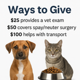 Ways to Help Animals in Need