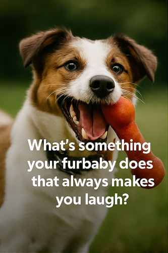 A collage of four digital photographs features pet part1.png