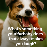 A collage of four digital photographs features pet part1