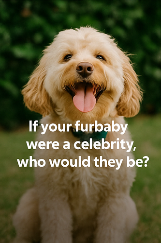 A collage of four digital photographs features pet part3.png