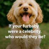 A collage of four digital photographs features pet part3