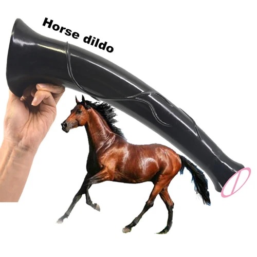 horse.jpg