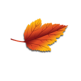 fall