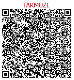 DANA TARMUZI.jpg