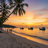 Phu Quoc &amp; Kampot Pepper Farms image 1 1024x1024