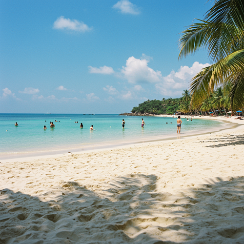 Phu Quoc & Kampot Pepper Farms image 6 1152x1152.png