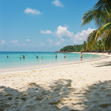 Phu Quoc &amp; Kampot Pepper Farms image 6 1152x1152