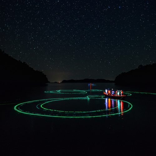 Phu Quoc & Paradise Islands Escape image 6 1152x1152.png