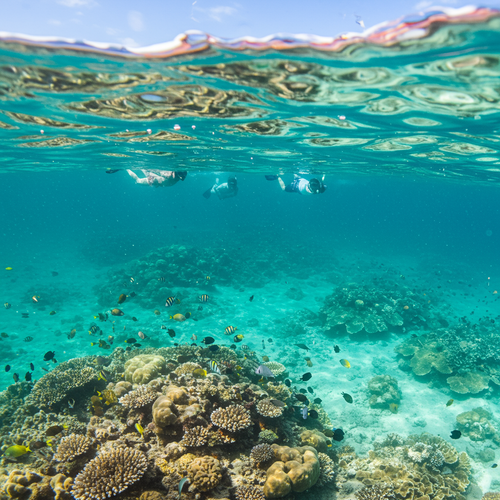 Phu Quoc & Paradise Islands Escape image 4 896x1152.png