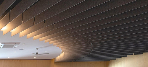 Acoustic ceiling.jpg