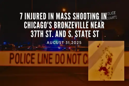 Illinois Mass shooting.webp